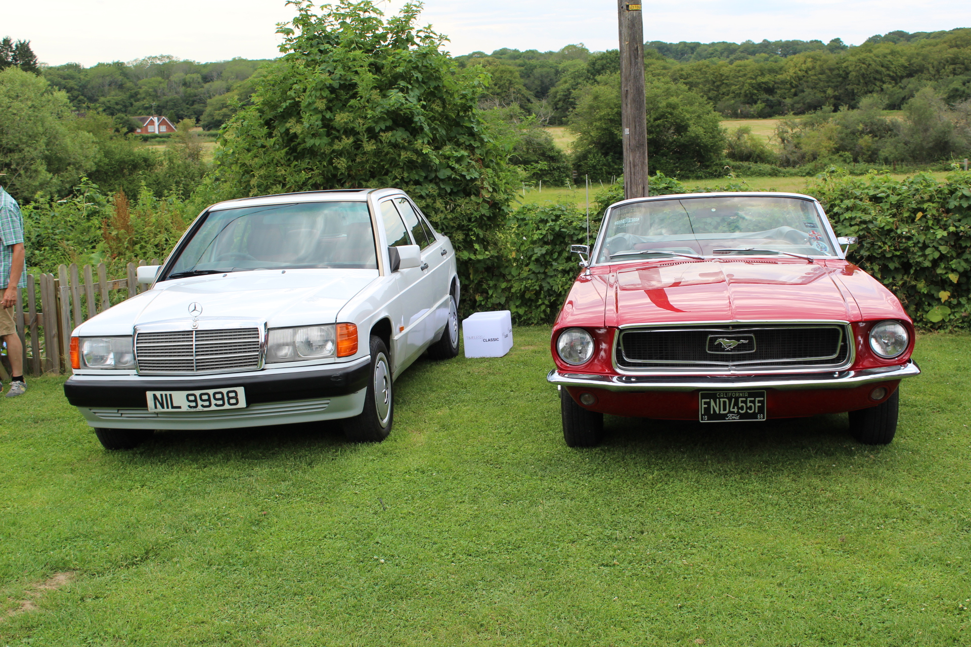 Mercedes and Mustang